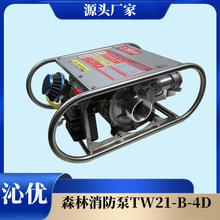 ˫�������Ҷ�����ı�ɭ��������TW21-B-4DӦ����������