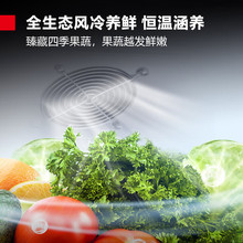 �m�ô�����������ر��rչʾ�� �p�T�X�Ͻ��L��o˪ DMS-L.G-928F