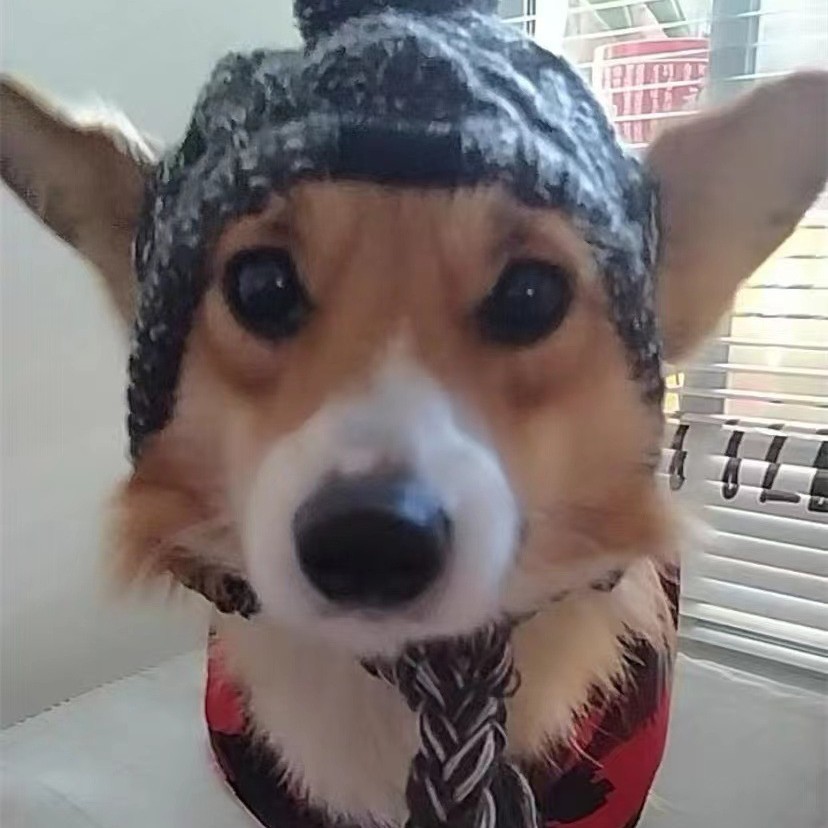 INS exportación caliente europeo y americano sombrero de lana para mascotas grandes perros y cachorros todos tienen sombreros de punto