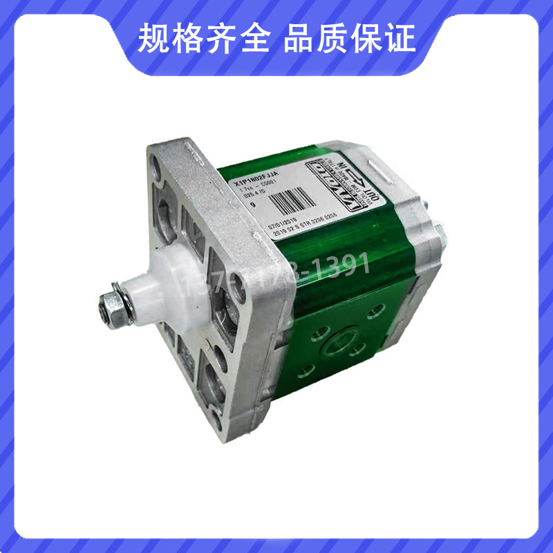 意大利VIVOLO维沃尔X1P2002FBBA齿轮泵X1P2002FZBB液压油泵VIVOIL