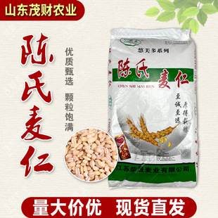 ���lȥƤ���ʴ������¼Z�����ŵ���ȴּZ�������r�ˌ�����38���b