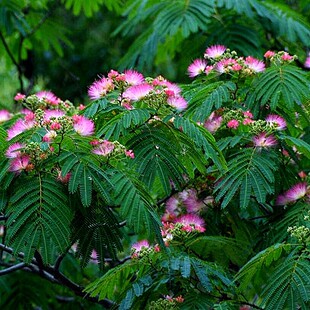 �Ϛg����q������ܽ�ػ����������ϱ������;G����ͥԺ�L���G����