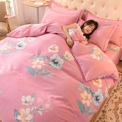 新款加厚磨毛純棉四件套秋冬全棉四件套床上用品三件套團購代發