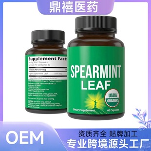 �羳���N SPEARMINT LEAF ���ر����~�z���a�䄩Դ�^�S��֧��O EM