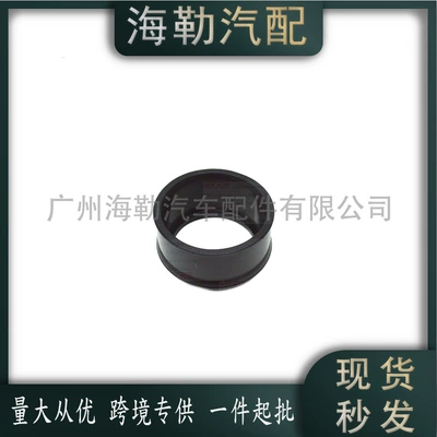 Suitable for Mercedes-Benz Sprinter – Other starting systems
