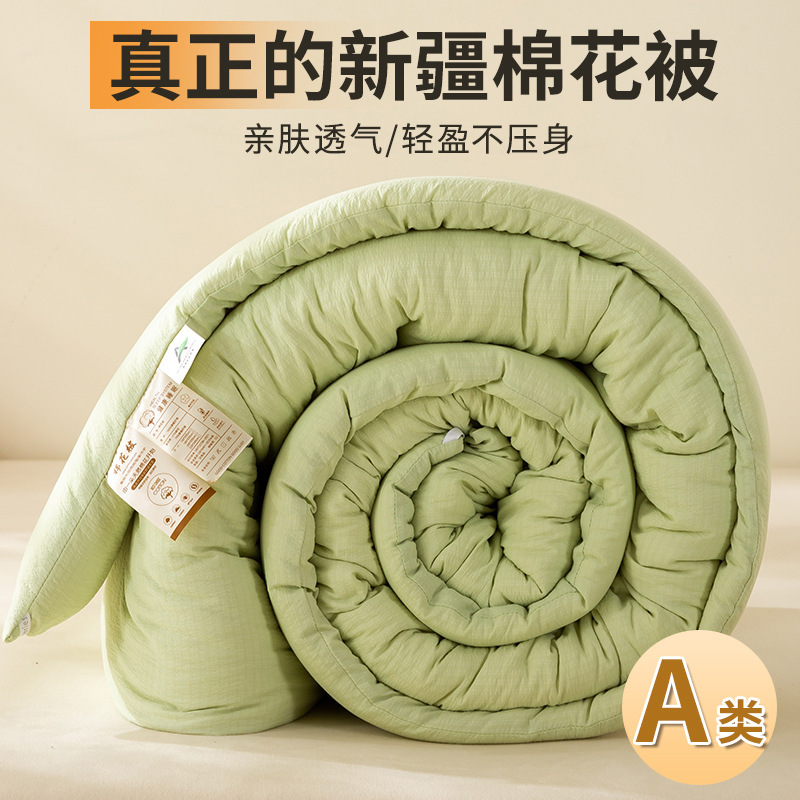新款简约A类新疆棉花被被子被芯加厚冬被宿舍春秋被垫被床上用品4|undefined