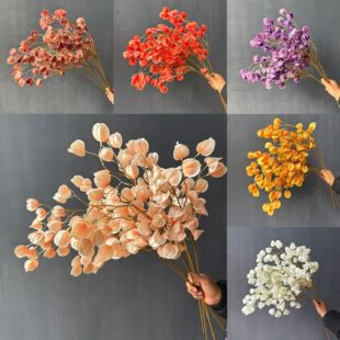 ������� ������\�� �ٻ��������ҾӔ[�O��c���û�ˇ�[������