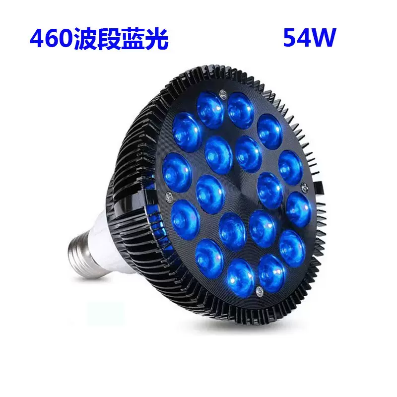 亚马逊热销 PAR38蓝光灯 54W蓝光射灯460波段 E27 螺口射灯 LED