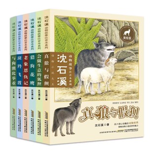 ��ʯϪ�������ע����ϵ�� ���L�� �����w�� С�W���n���x��