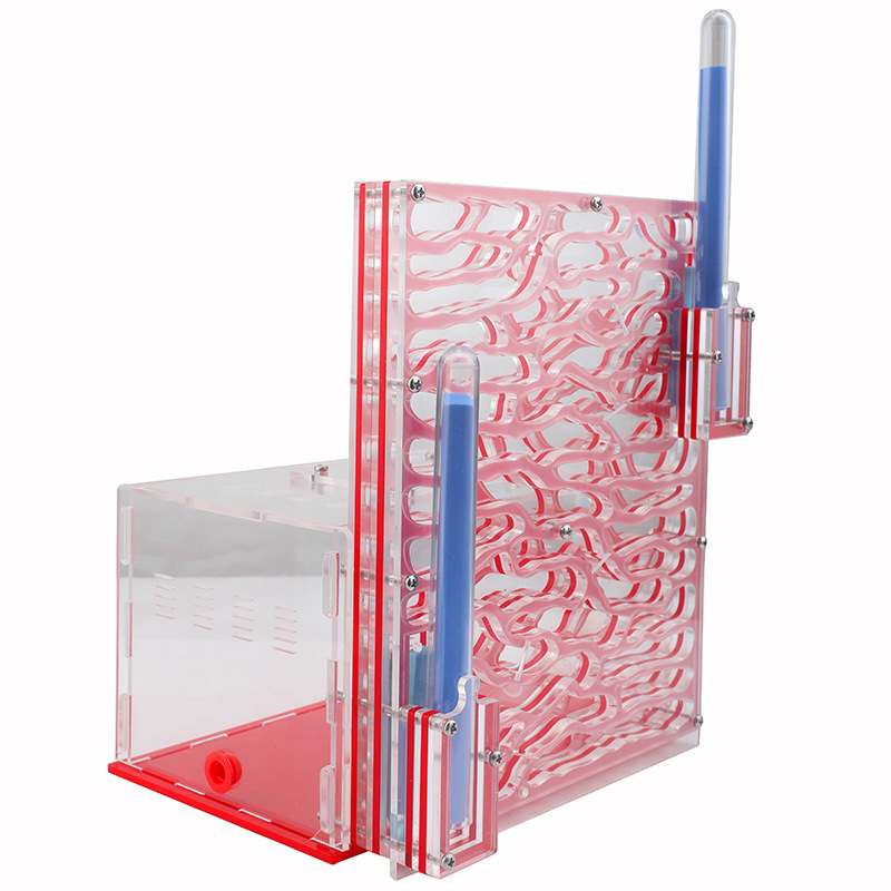 Factory direct transparent acrylic pet ant tree climbing palace castle ecological box workshop tribal home sand nest