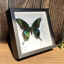 ������˱����Wʽ�b�DIY�͹Ŕ[̨�Ҿ��b����նY��YƷ