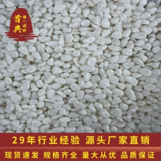 白色鹅卵石天然抛光砾石花园白石子颗粒地庭院铺暖小石头造景装饰