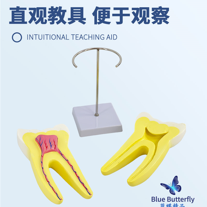 ����ĥ������ģ�� �׶�԰�̾�ҽѧ��ѧ��������ͨ�� �����֧��