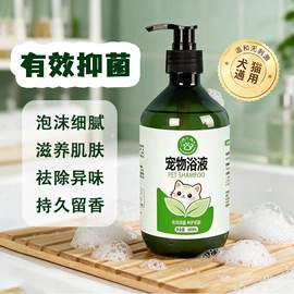 空气清新;耳部清洁;口腔清洁