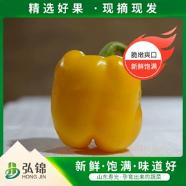 辣椒彩椒;瓜果类