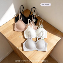 ����ܰ1802����͸��W��V�I10A�����o�Ȧ�{���̓���