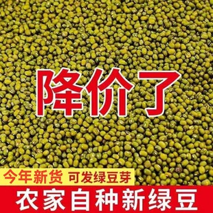 �|���¾G��100g-5���w��M�Ҝ��G��ɳ��Ʒ�l��ѿ�G�����������l