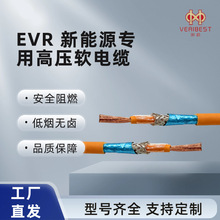 EVR ����Դ�߉���|�o���~늄���܇��늘�늙C�����վ�B����ȼ��