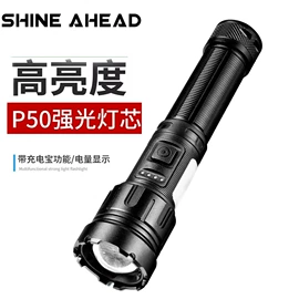 手电筒;头灯头戴电筒;提灯