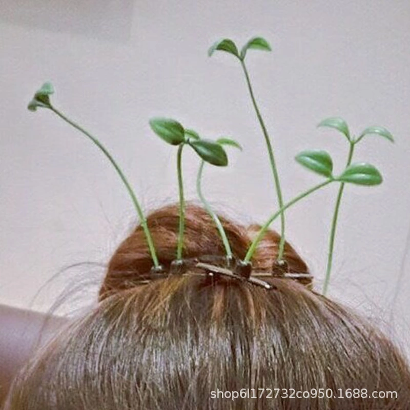 Hairpins, accessory for head top, mana-map
