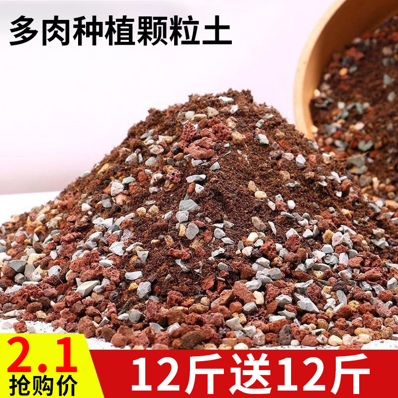 多肉颗粒土多肉专用营养土壤种植铺面石纯彩虹石小苗成株老桩