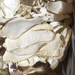 Дропшиппинг новый товар Pleurotus eryngii ломтики 500г Pleurotus eryngii ломтики галантерейные товары оптовая продажа грибы съедобные сельскохозяйственные продукты