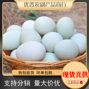 30ö���]���r�������r�ҷ��B���Ƥ�������󂀬F��F�l���������l