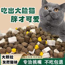 猫粮 成猫粮冻干增肥发腮猫幼猫奶糕美英短鱼肉低油低盐猫主粮