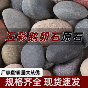 Outdoor Courtyard Pebble Paving Wholesale Raw Natural Stones Colorful Stones for Garden Fish Tank Landscaping