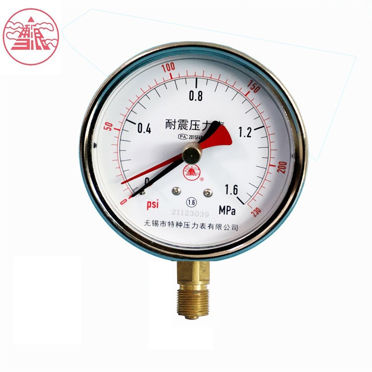 雪浪特种仪表 YN-60双指针耐震记忆型压力表油压水通用2.5