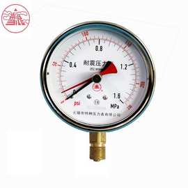 雪浪特种仪表 矿用压力双指针耐震液压支架双针记忆真空压力表