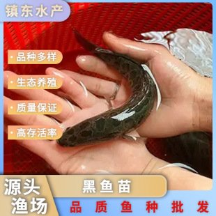 ���~���s���^�p�~��ˮ�Bֳ���^�~�������~����~�����l���w����