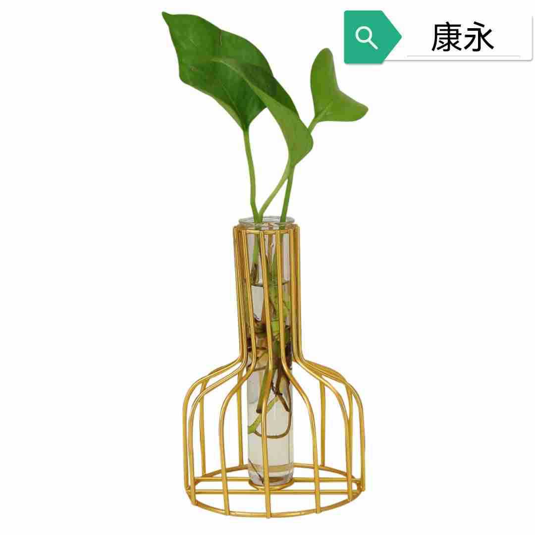 水培插花翻边玻璃试管瓶翻边试管18翻20