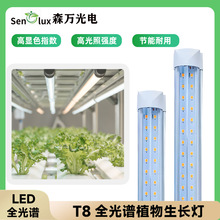 M߲˻ܹϹ~˷NֲLEDȫVT8ֲL