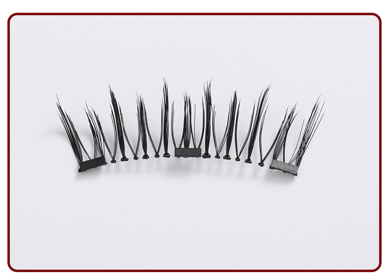 Magnetic Eyelashes 1