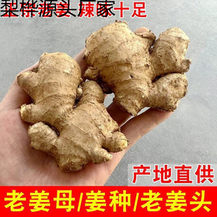 �F���Ͻ��^�F�����������lС�S���齪�K�Ͻ�ĸ�߲����ӽ����_