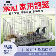 鸽子专用笼养鸽笼防鼠不锈钢养殖笼鸽子配对笼大号家用隔断繁殖鸽