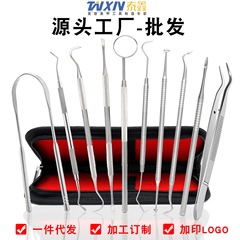 歯科用工具10点セット歯科用洗浄器ステンレス歯科医5点セット