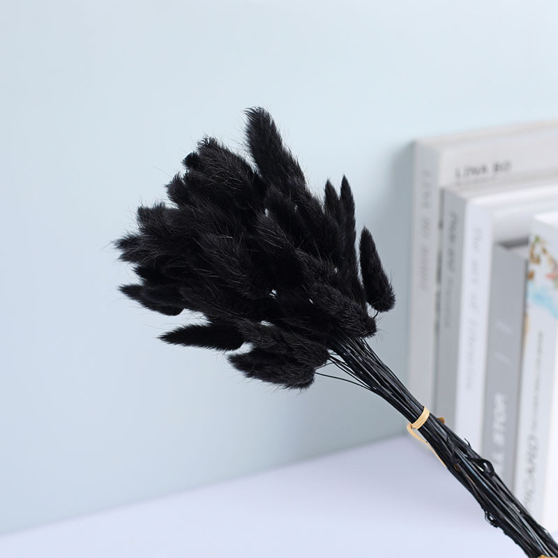 La flor eterna de la flor de la cola de conejo hierba seca 60 piezas al por mayor Dogtail hierba seca ramo de flores decoración DIY conejo hierba de la cola