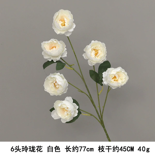 6 exquisite flowers white