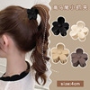 Ponytail, hairgrip, shark, crab pin, hair accessory, clips included, internet celebrity, new collection, wholesale