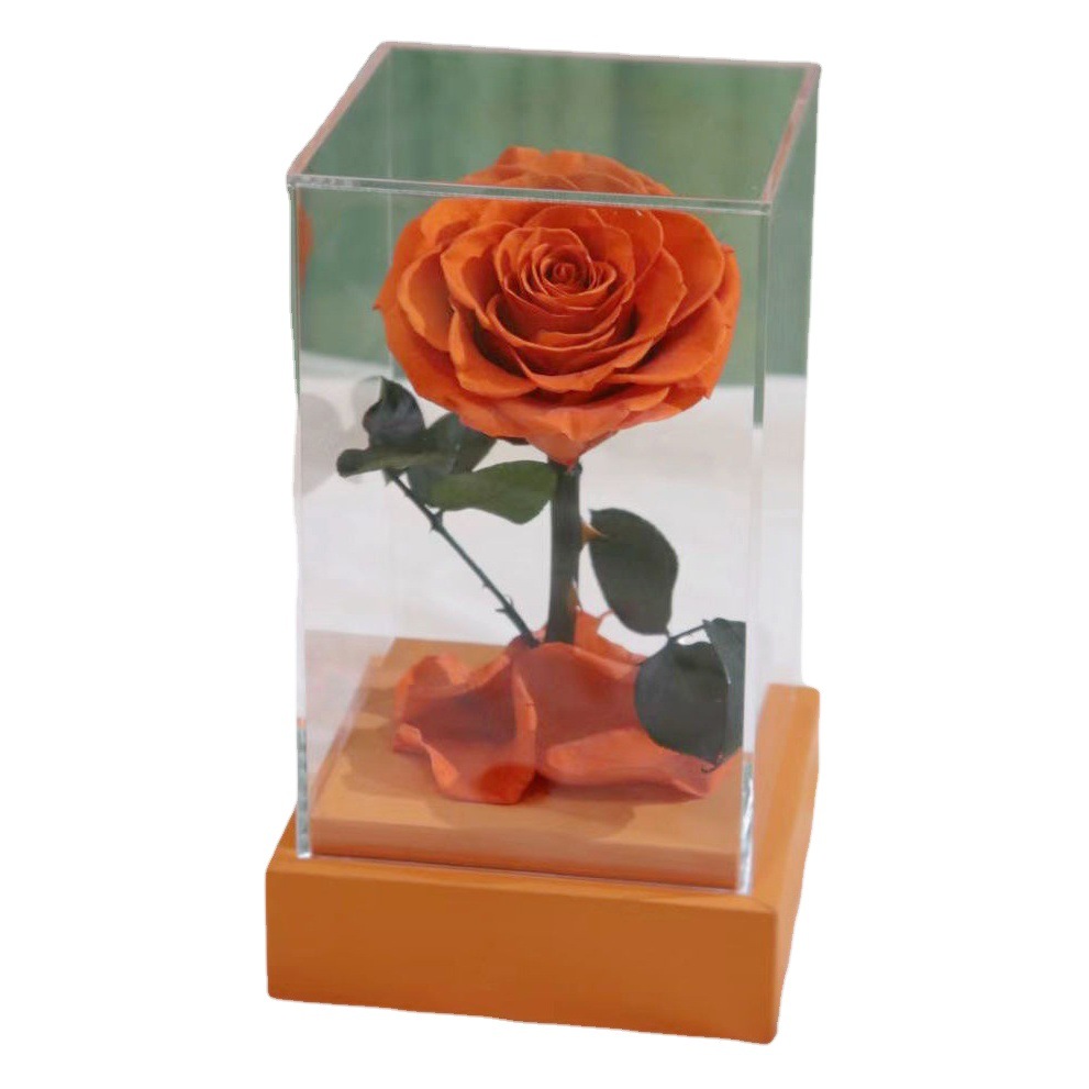 Eternal Flower Rose caja de regalo flores de acrílico transparente al por mayor de suministro directo transfronterizo Qixi regalo