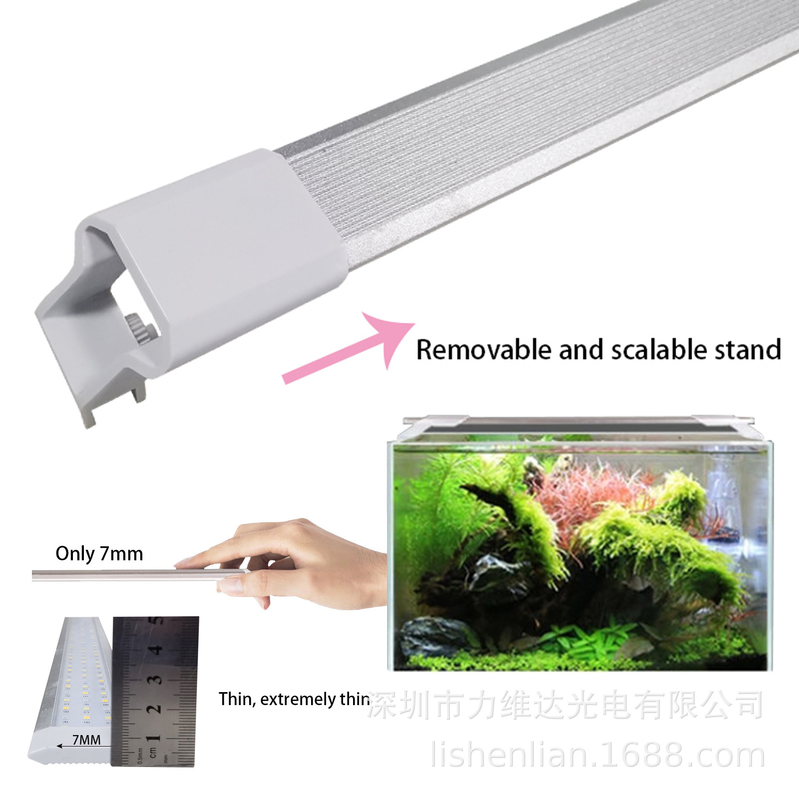 ledȫ׵ˮݵ׼еˮרÉ쾰͵