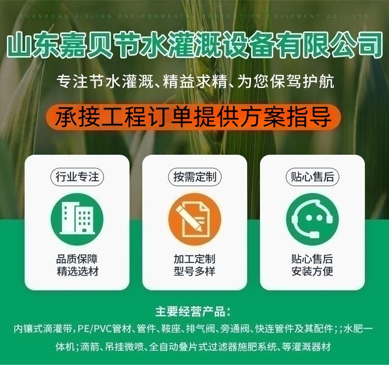 嘉贝1