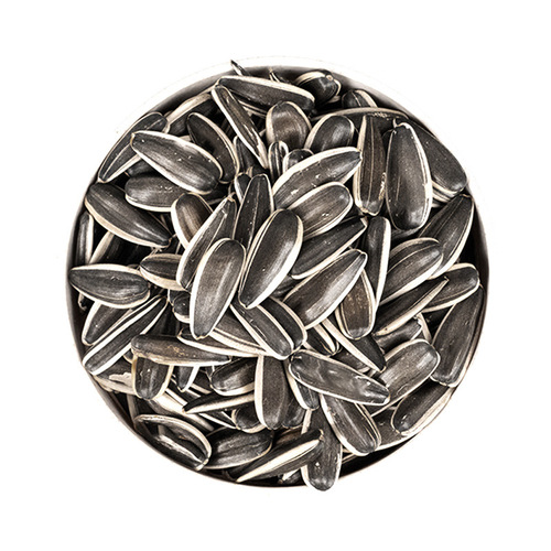 Inner Mongolia sunflower seeds, original flavor, tangerine peel flavor, monk fruit flavor, new arrival large kernel seeds, nuts, roasted snacks, dropshipping.