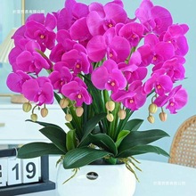 ᾳغ����m��ˇ�������[���͏d�[�O���bٻ��[�������