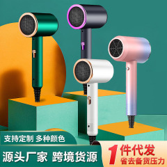 インターネットセレブハンマーヘアドライヤー多段階温度調整ヘアサロン専用ハイパワー青色光保護ヘアドライヤー卸売