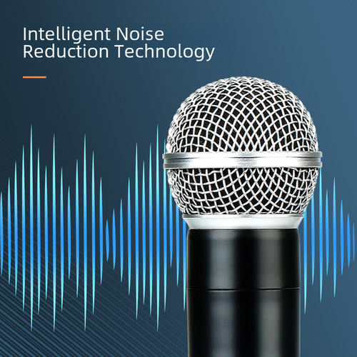 Cross-border wireless microphone one-to-two VHF home karaoke host KTV singing professional wireless dynamic microphone