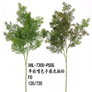 ɭϵ��c�G�~�[�ŷ���Gֲ�춬���� �W�t�����b����Ƭ�ɴ�ާ