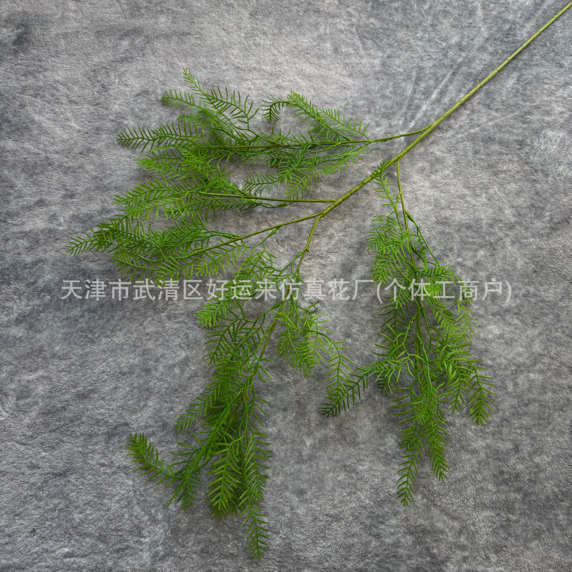 피닉스 잎은 연한 녹색